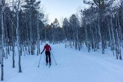Cross-Country Ski the Big Hill Trails 