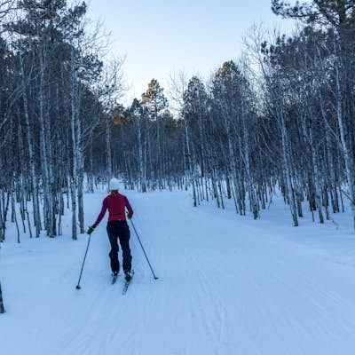 Cross-Country Ski the Big Hill Trails 