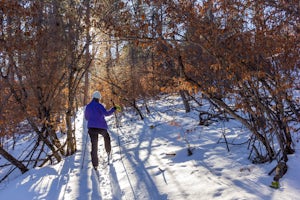 Cross-Country Ski the Big Hill Trails 