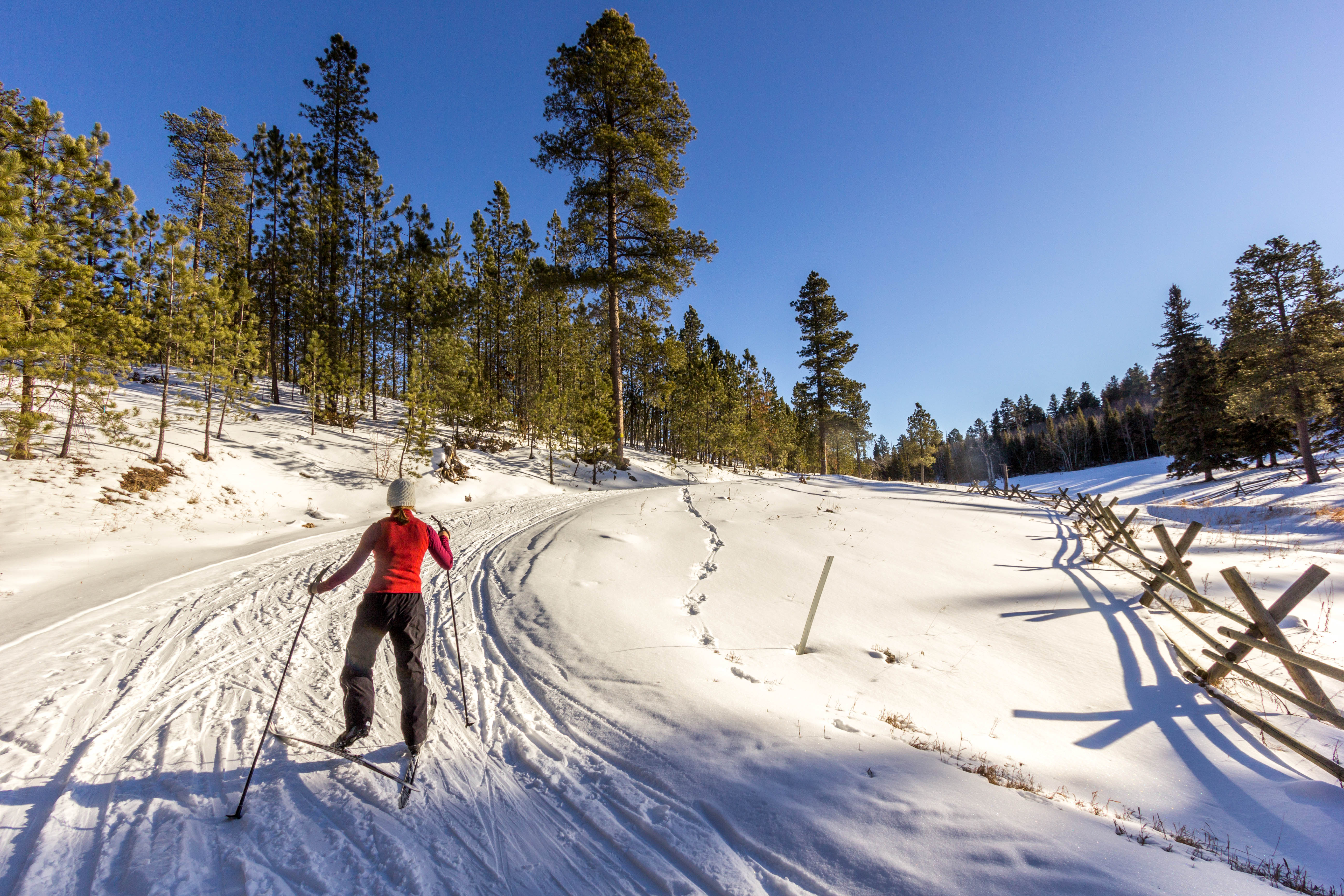 Cross-Country Ski the Big Hill Trails 