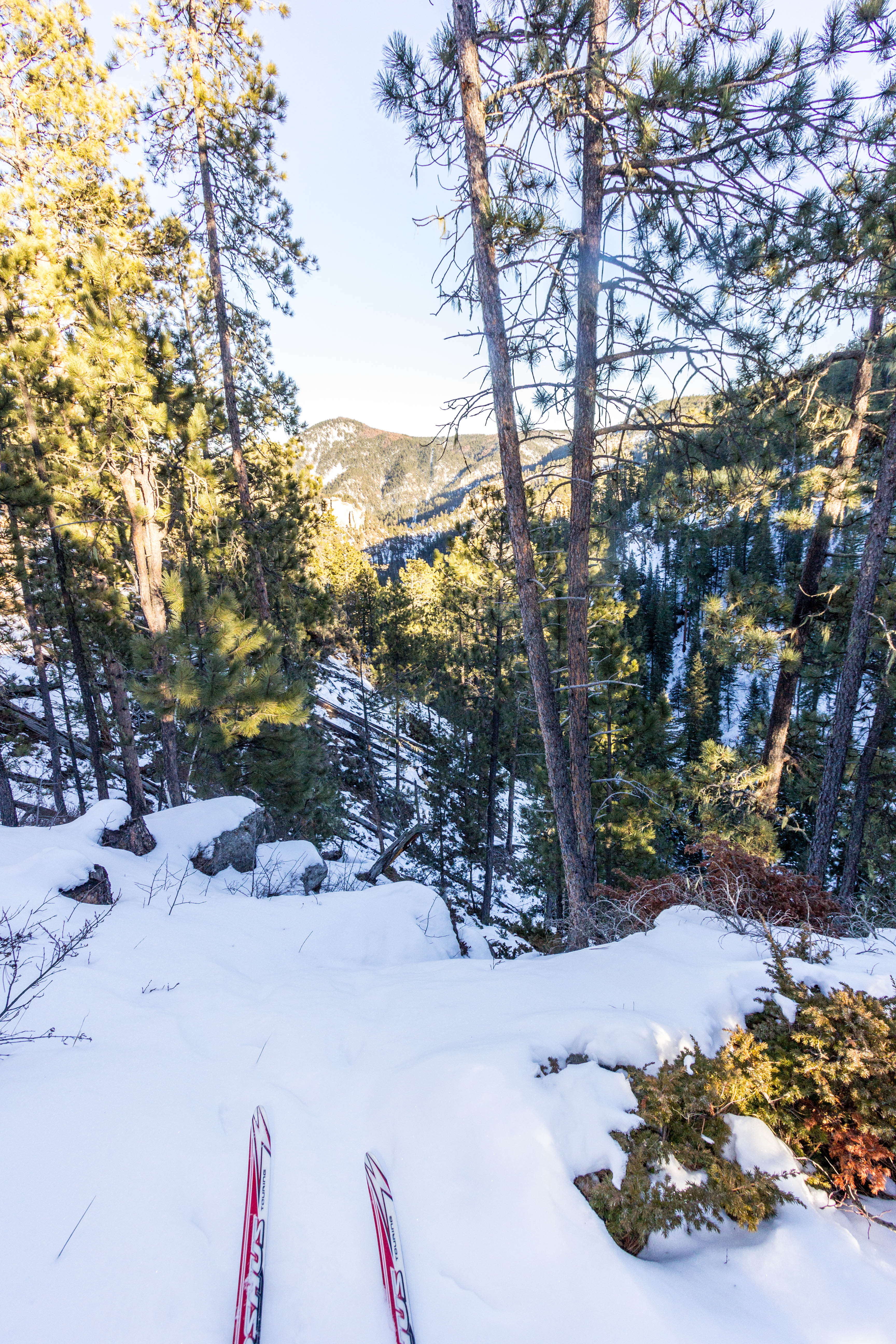 Cross-Country Ski the Big Hill Trails 