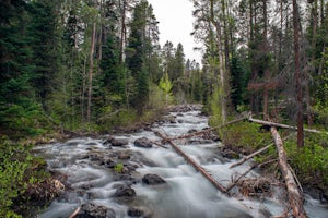 Hike the Rockefeller Preserve Loop