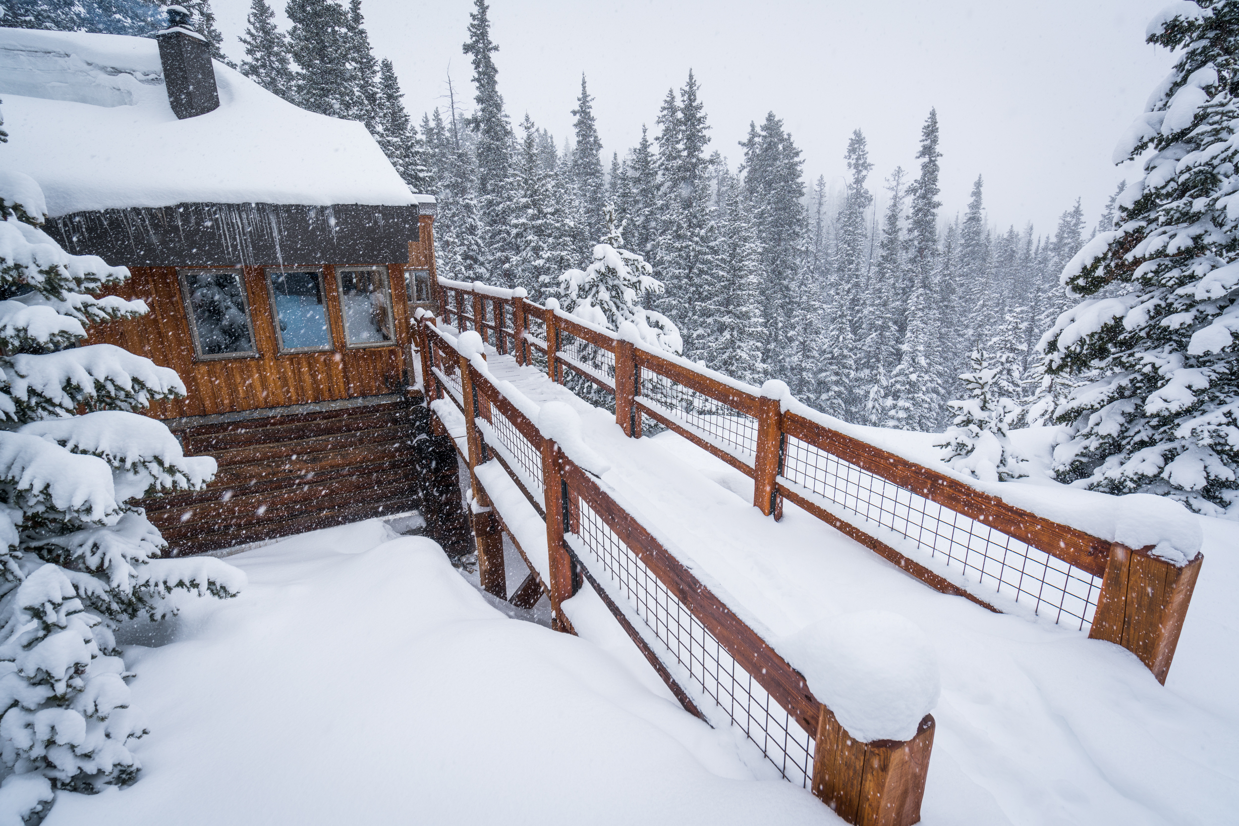 Ski Betty Bear to Skinner Hut
