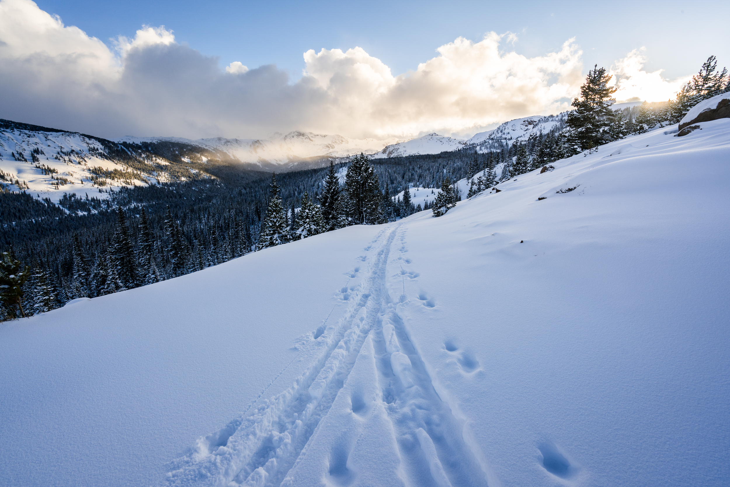 Ski Betty Bear to Skinner Hut