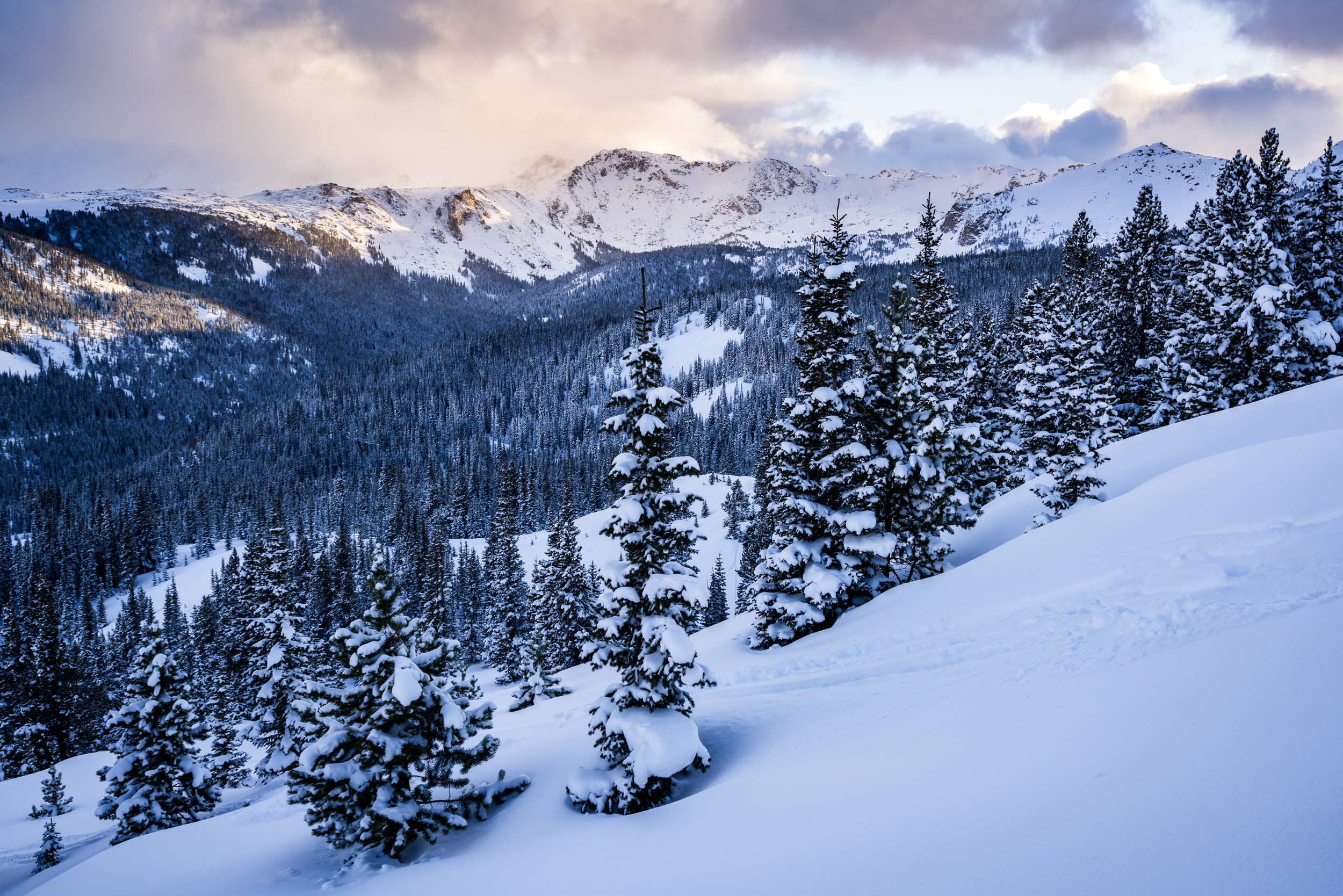 Ski Betty Bear to Skinner Hut