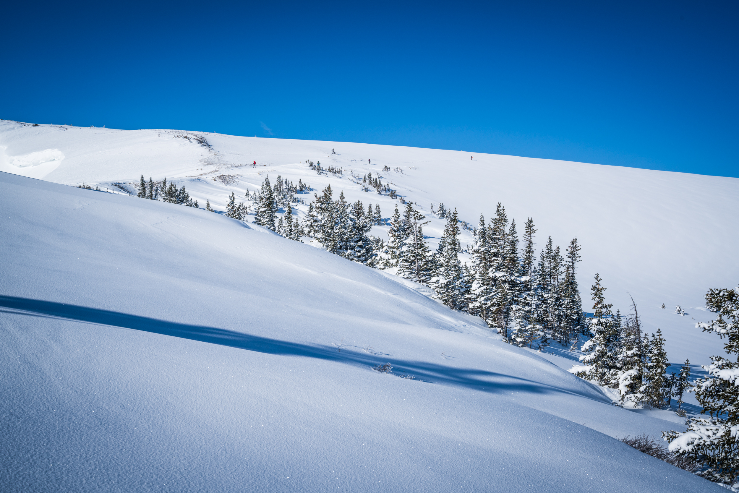 Ski Betty Bear to Skinner Hut