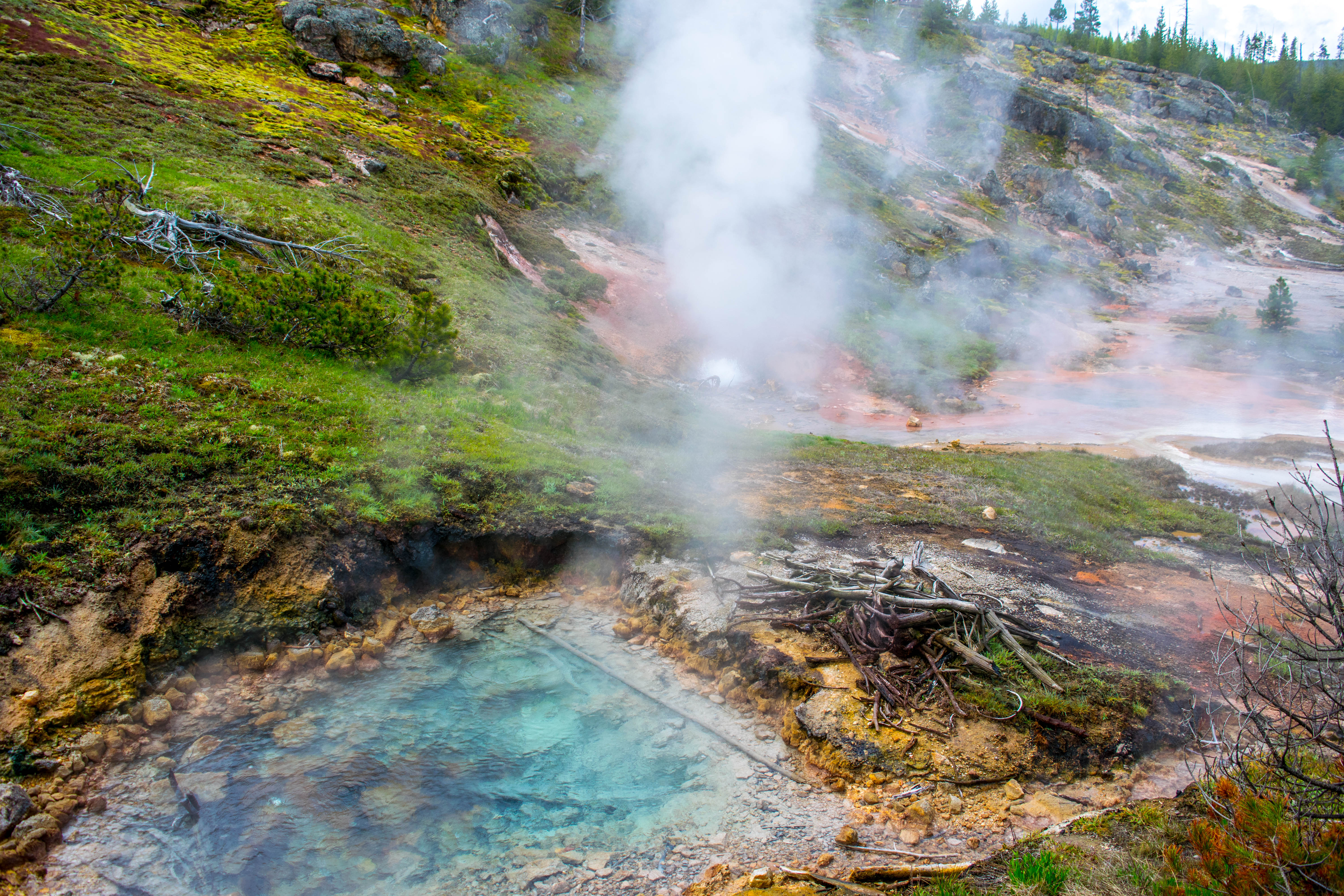 Hike to Artist's Paint Pots, Yellowstone National Park, Wyoming