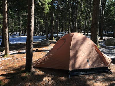 Off-season Camp at Blackwoods Campground