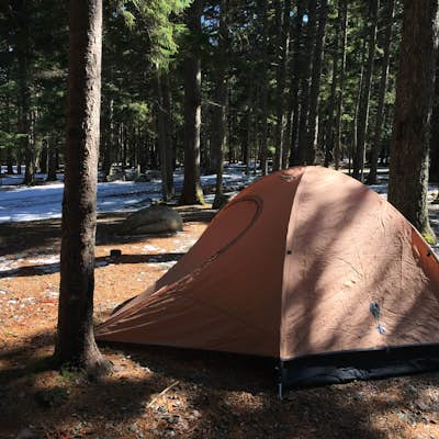 Off-season Camp at Blackwoods Campground