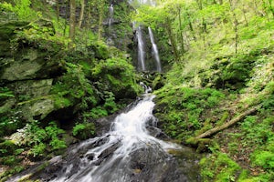 Hike to Lee Falls