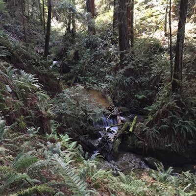 Waterfall Loop at Russian Gulch State Park