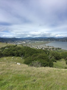 Ring Mountain Loop