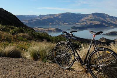 Bike and Hike the Port Hills (Christchurch)