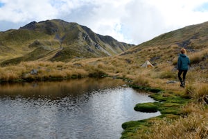 Hike the Lewis Pass Tops Route