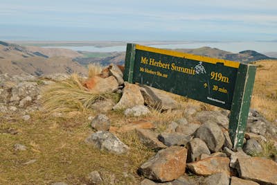 Hike to the Summit of Mt. Herbert
