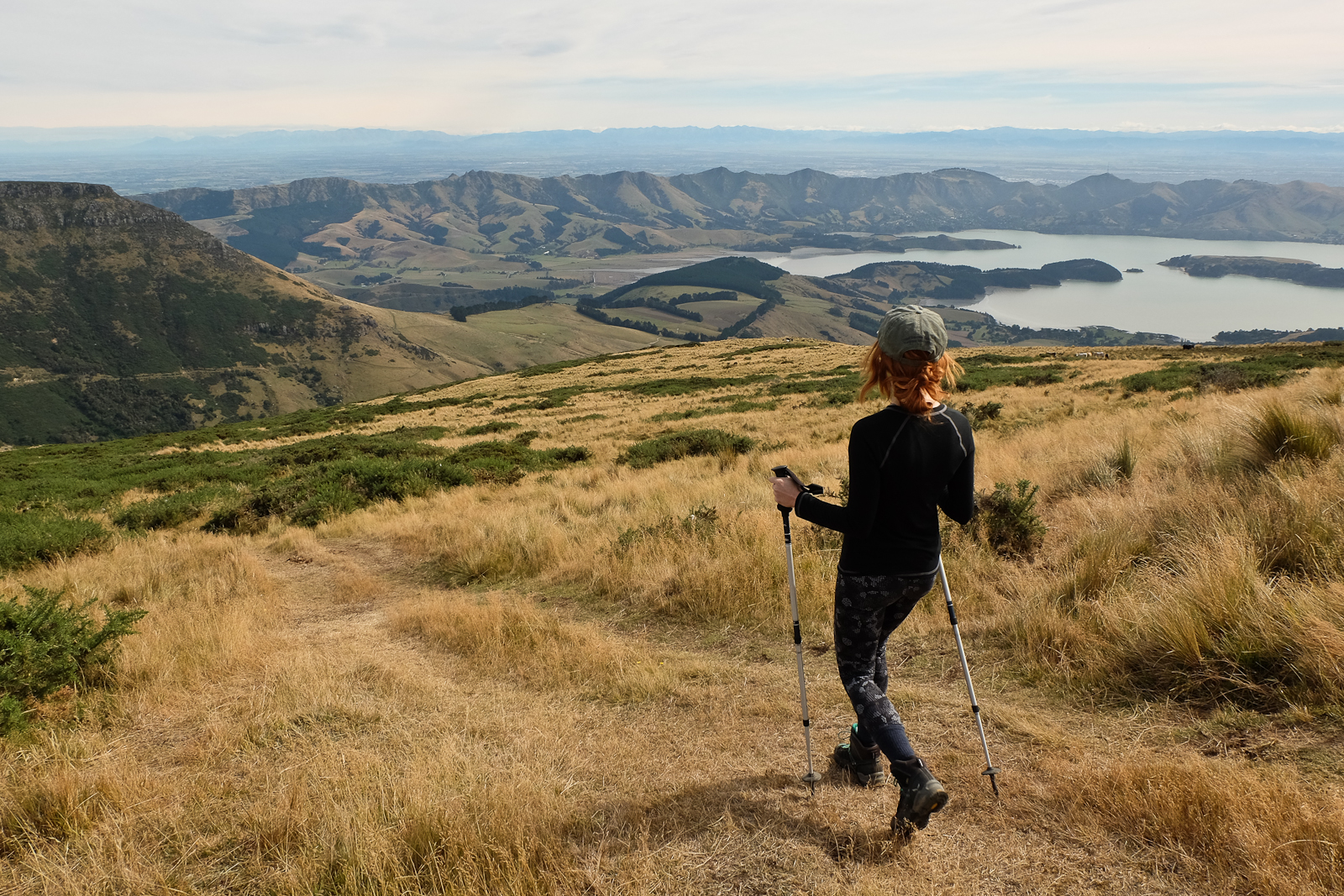 Hike to the Summit of Mt. Herbert, Charteris Bay, New Zealand