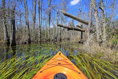 Kayak the Goodale State Park's Canoe Trail