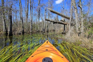 Kayak the Goodale State Park's Canoe Trail