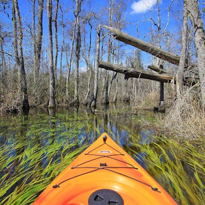 Kayak the Goodale State Park's Canoe Trail
