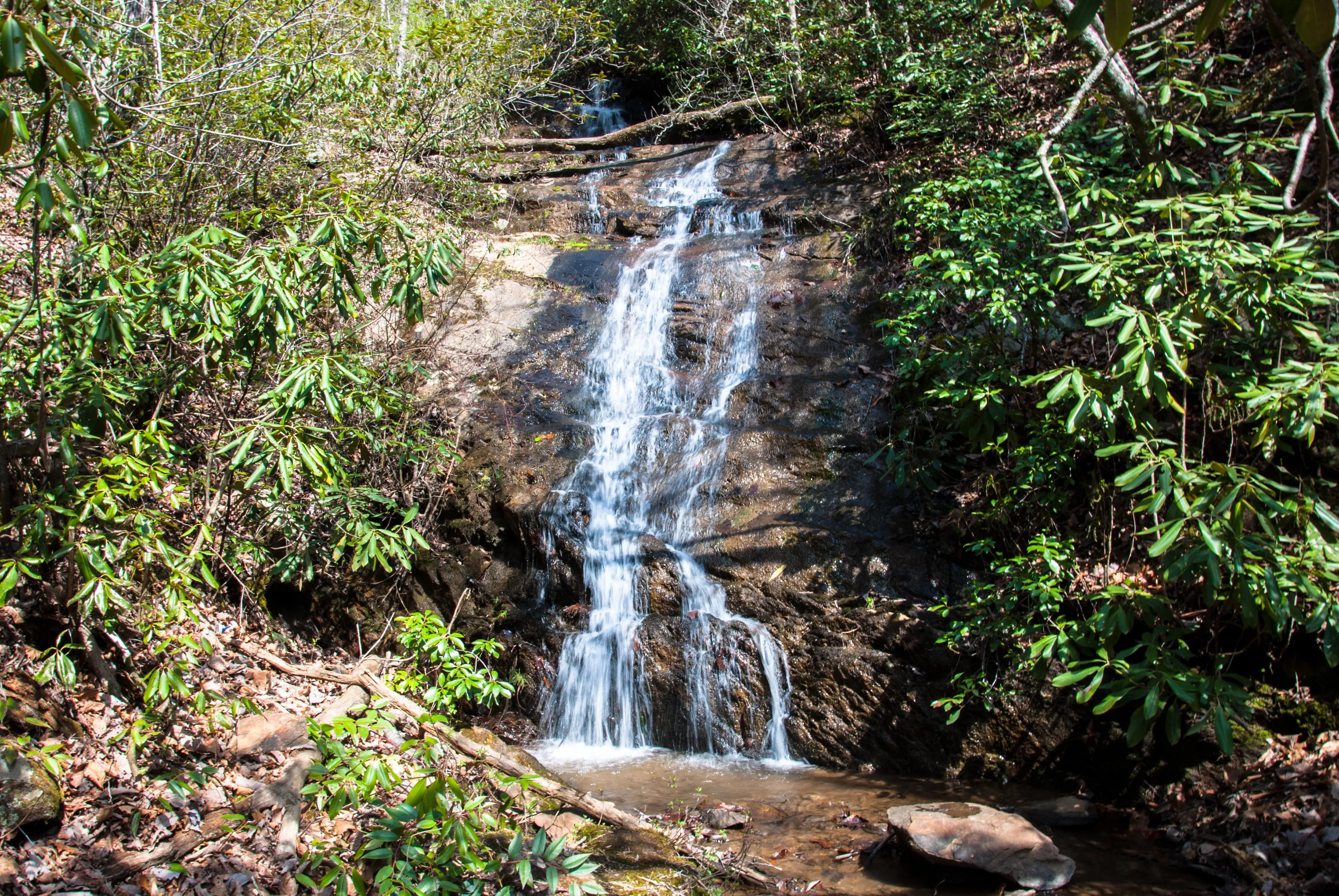 Explore Old 288 and the Lands Creek Bridge 