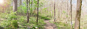 Hike the Trails at Fontanel