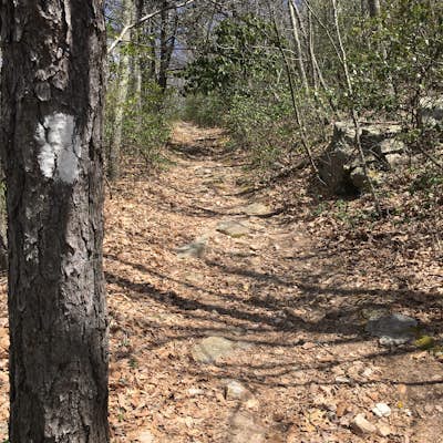 Hike to Kelly's Knob via the Appalachian Trail