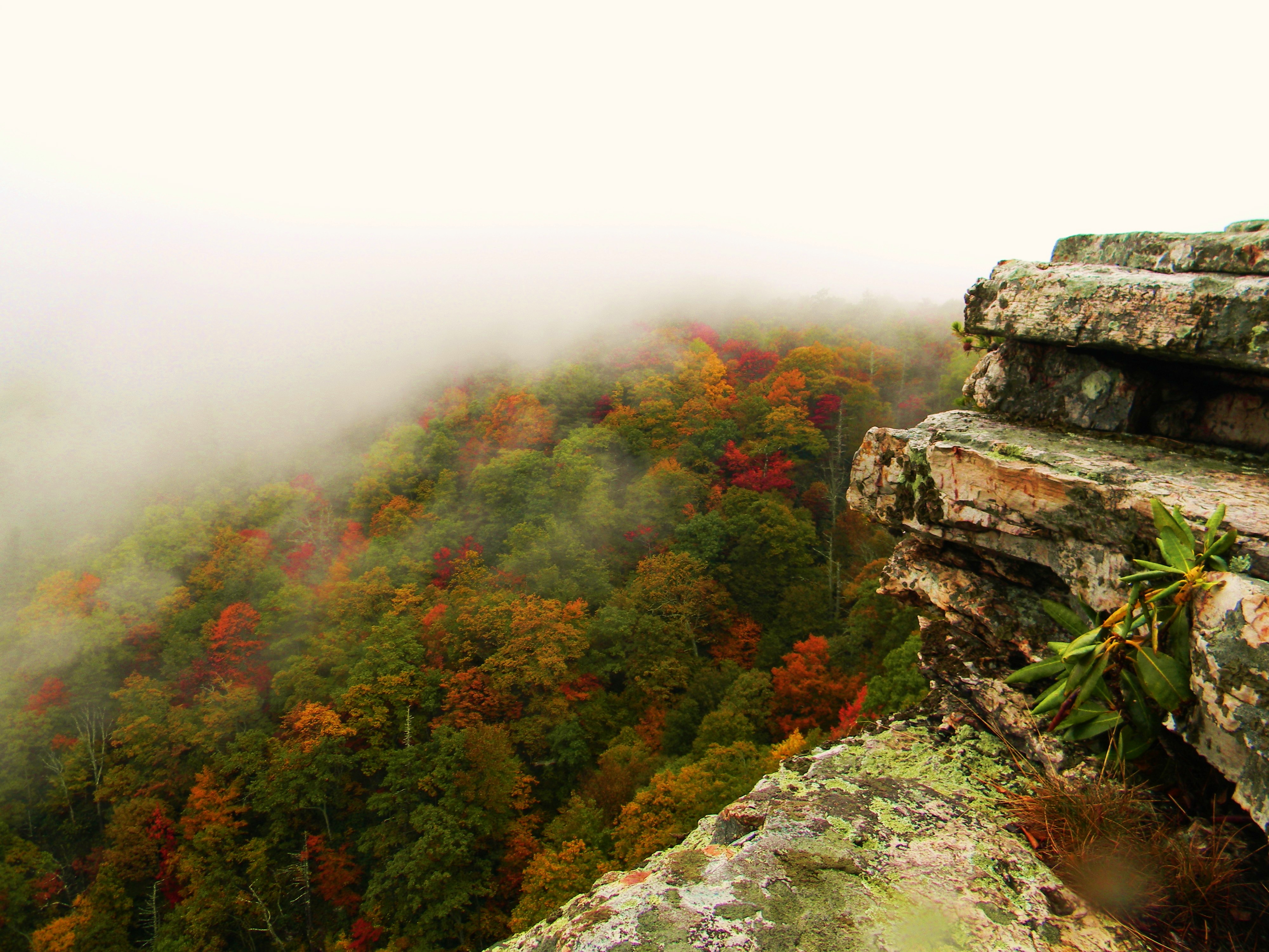 Hike Barney's Wall, Ripplemead, Virginia