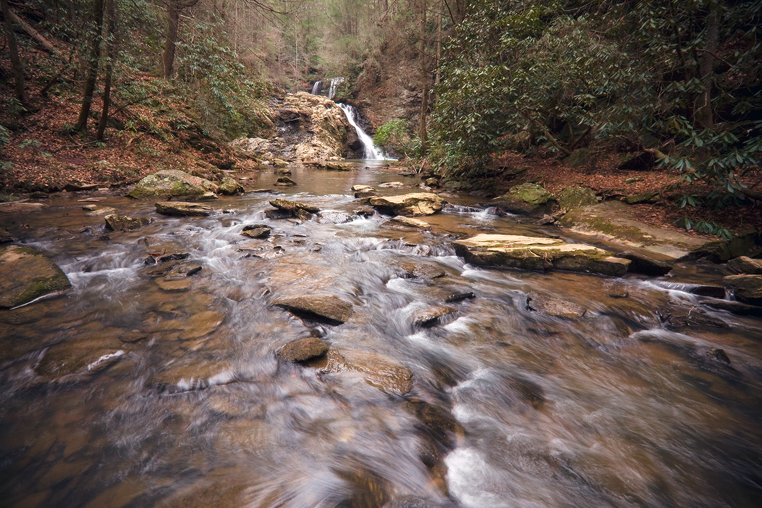 Brasstown Falls