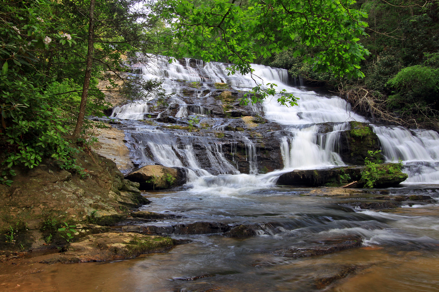 Brasstown Falls