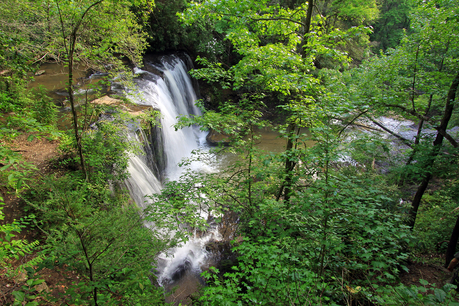 Brasstown Falls