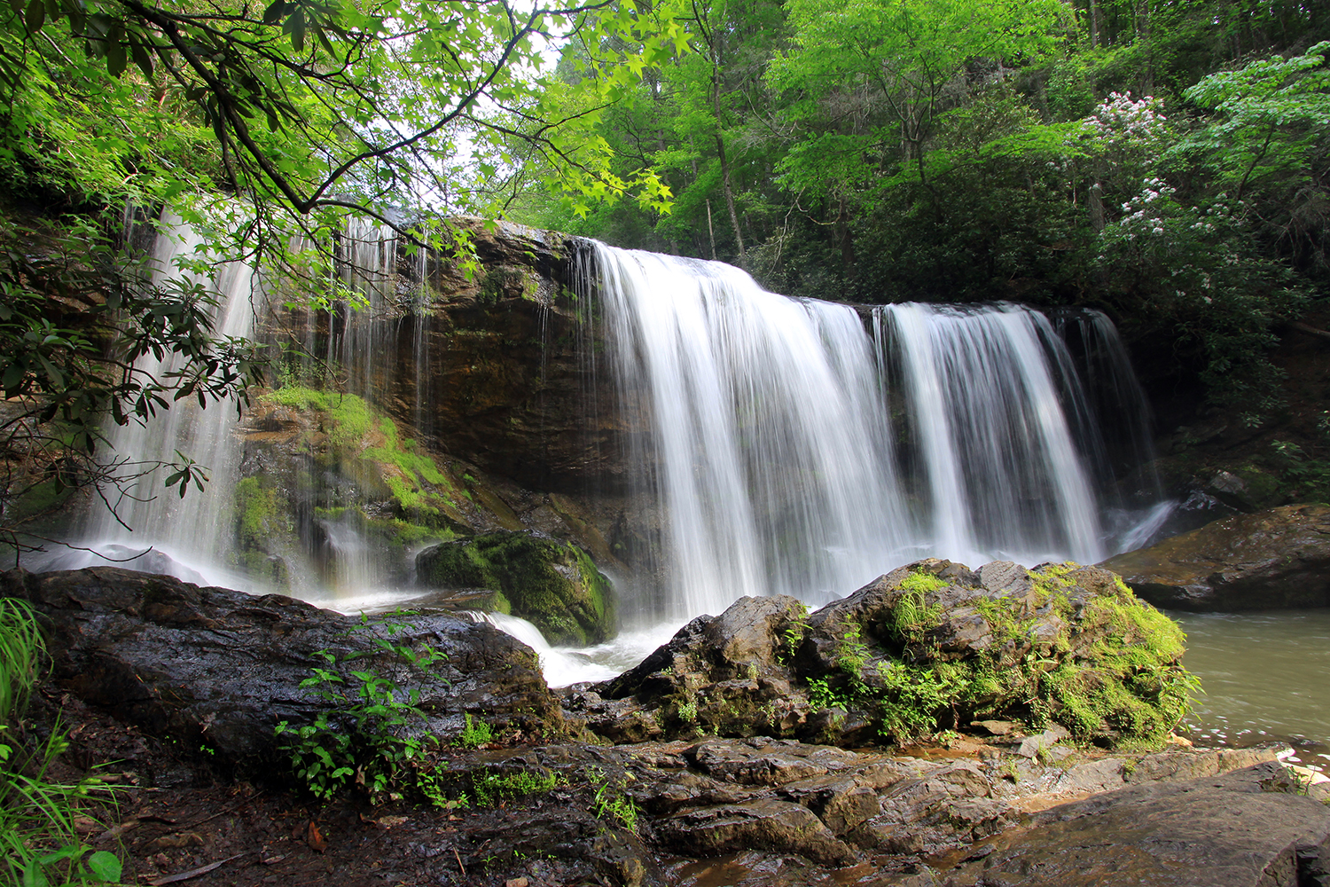 Brasstown Falls