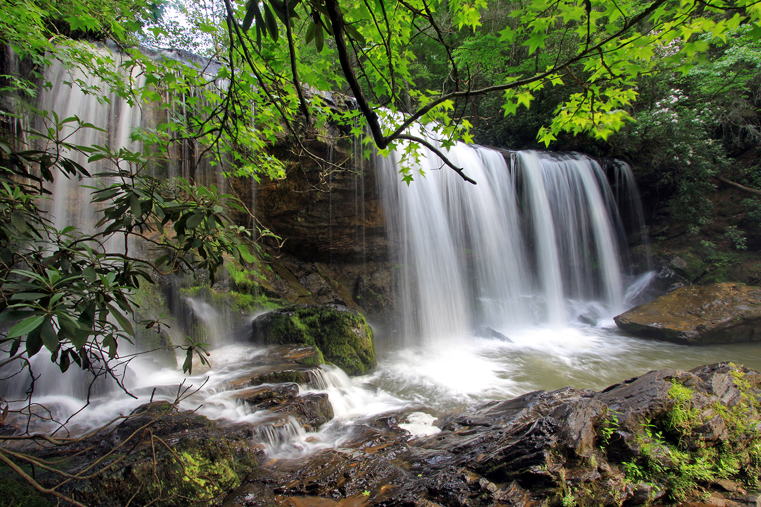 Brasstown Falls