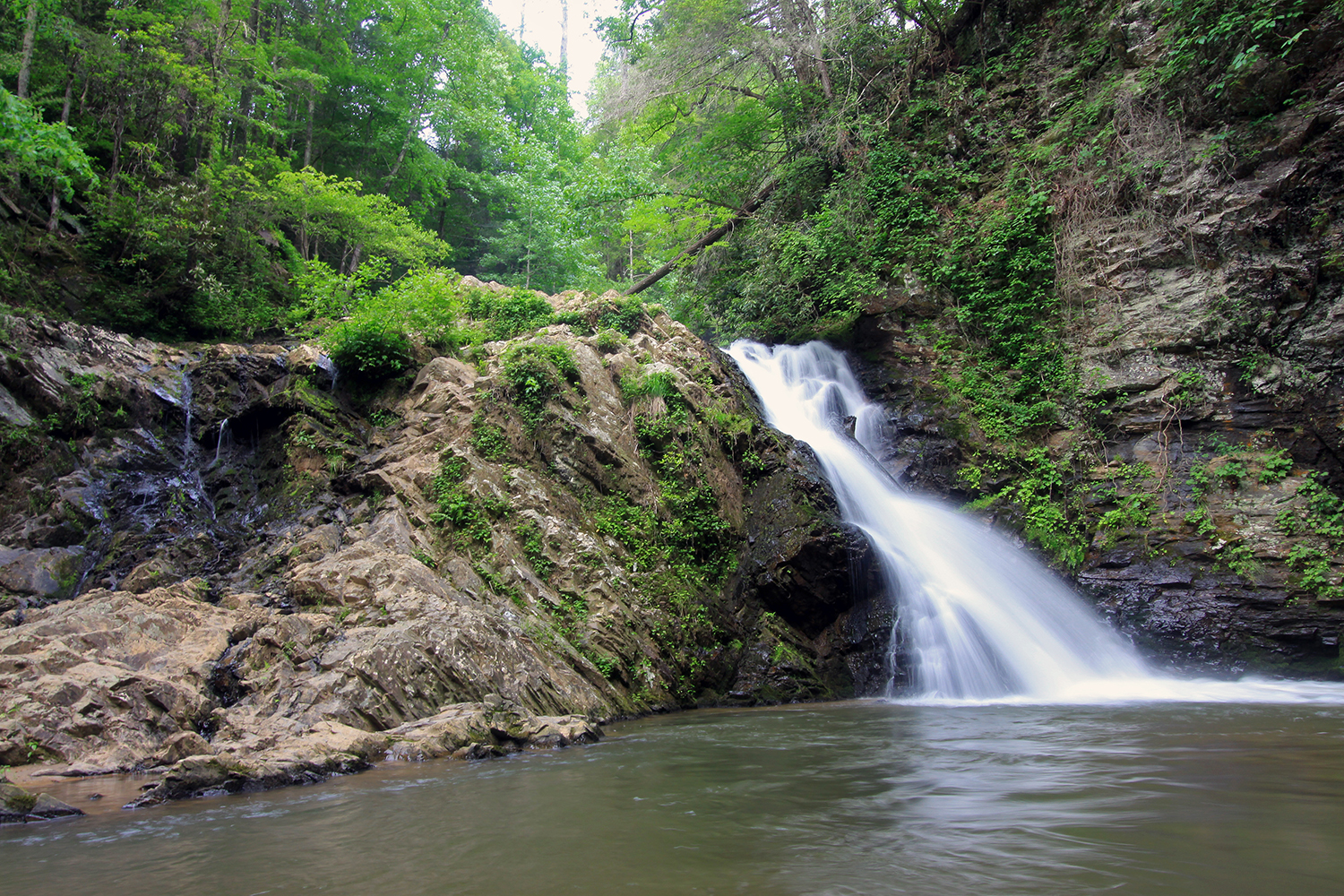 Brasstown Falls