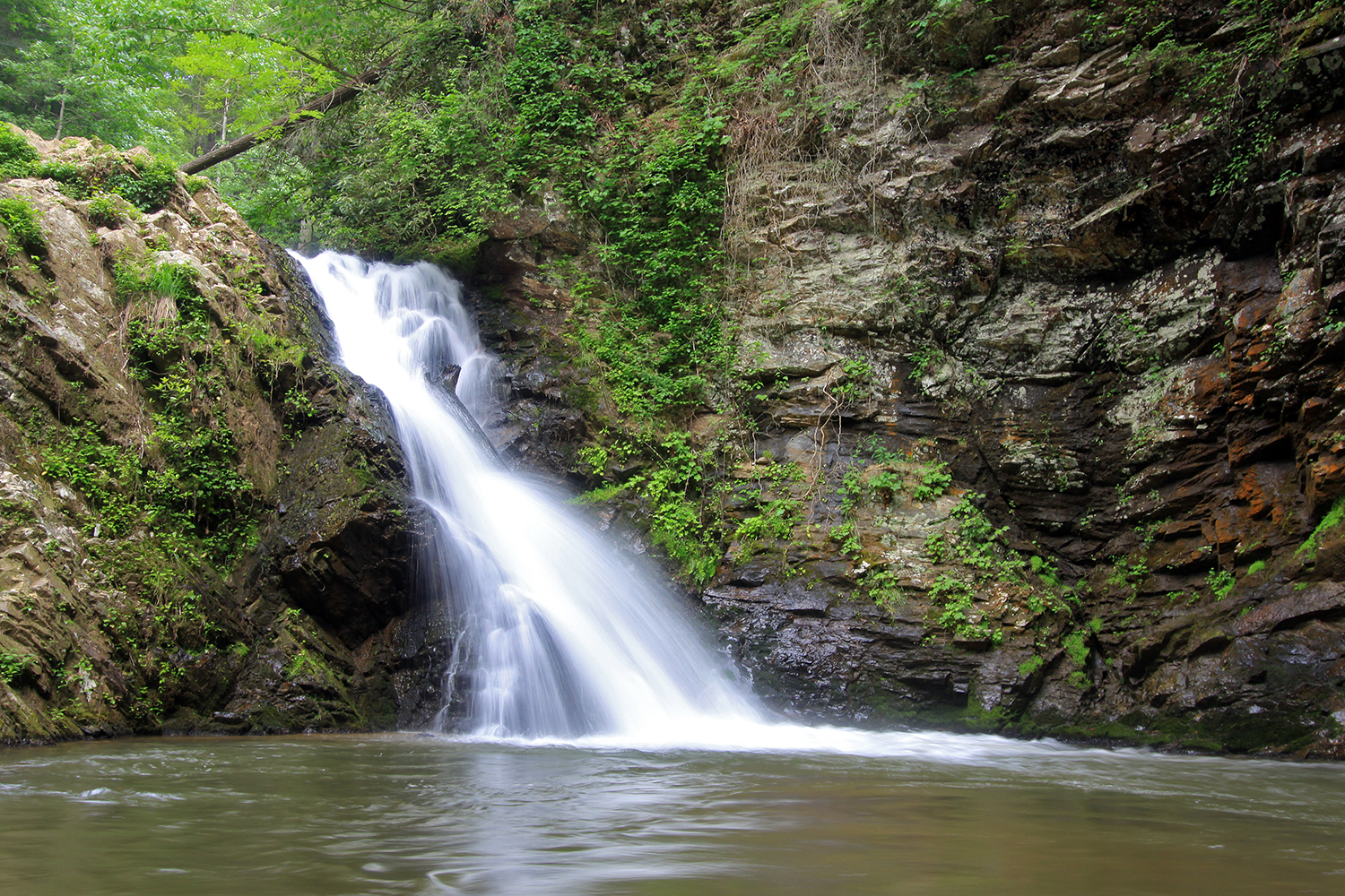 Brasstown Falls