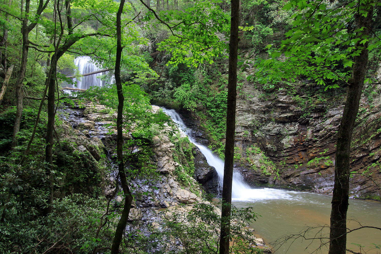 Brasstown Falls