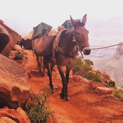 Hike the South Kaibab Trail at the Grand Canyon