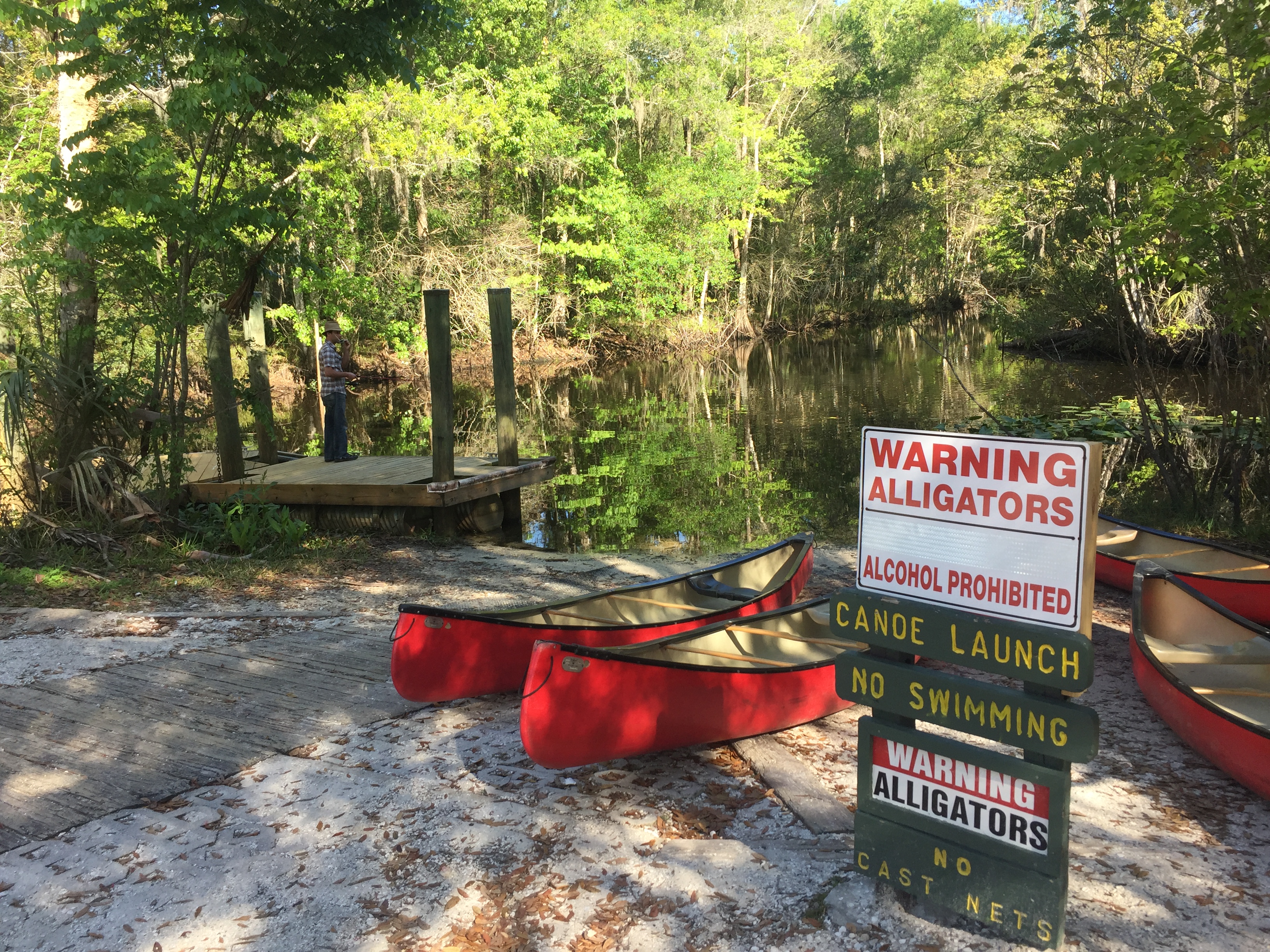 Paddle the Hillsborough River Wilderness Preserve