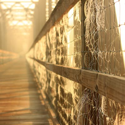 Take a Stroll on the Palmetto Trail across the Broad River Trestle