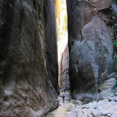 Hike the Narrows Top-Down from Chamberlain's Ranch 