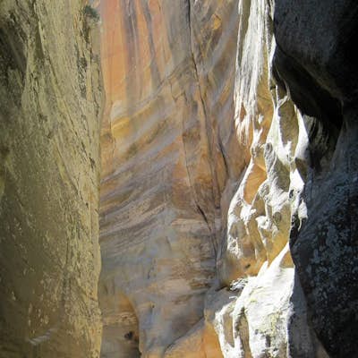 Hike the Narrows Top-Down from Chamberlain's Ranch 