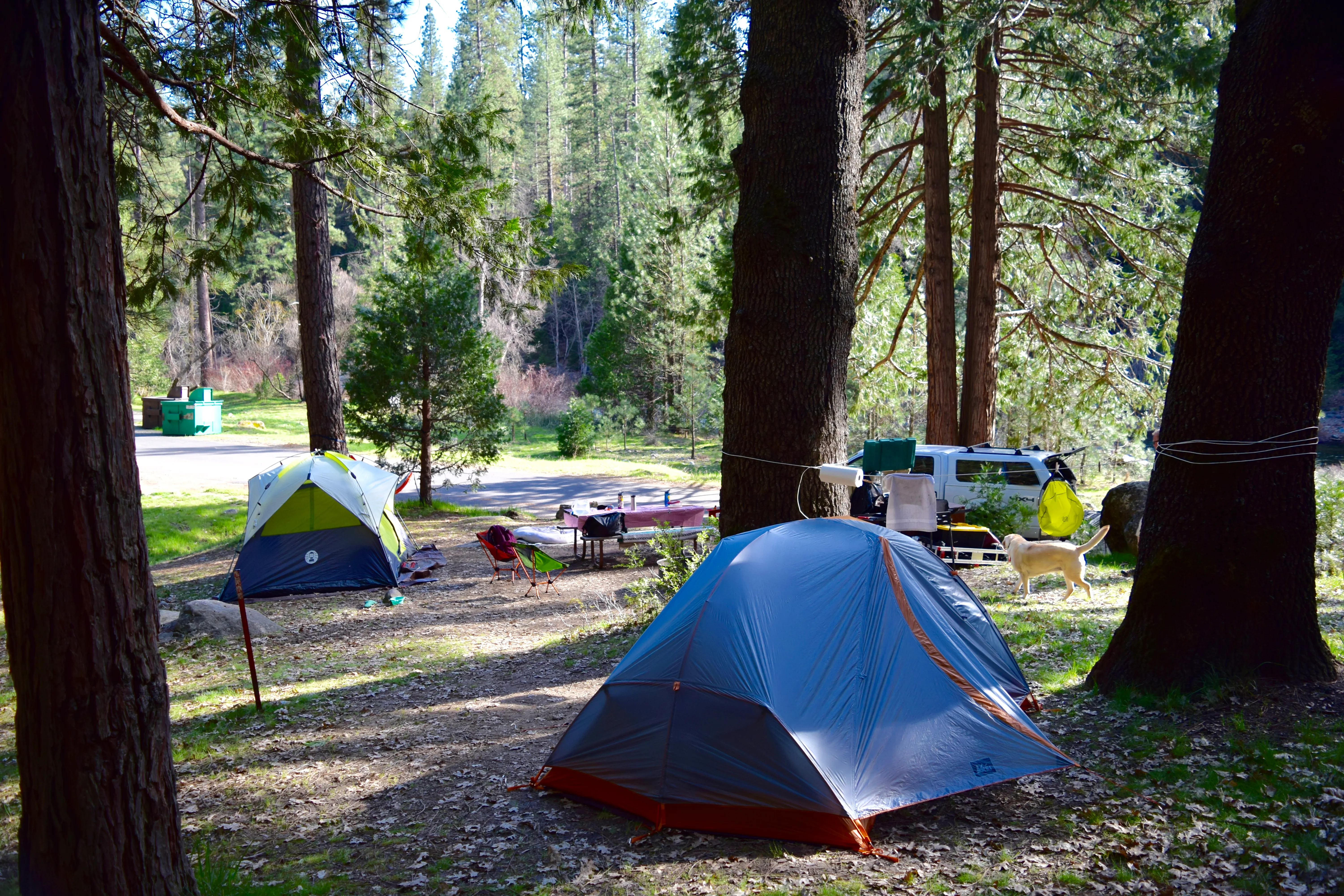 Camp at Wawona in Yosemite National Park