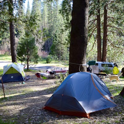 Camp at Wawona in Yosemite National Park