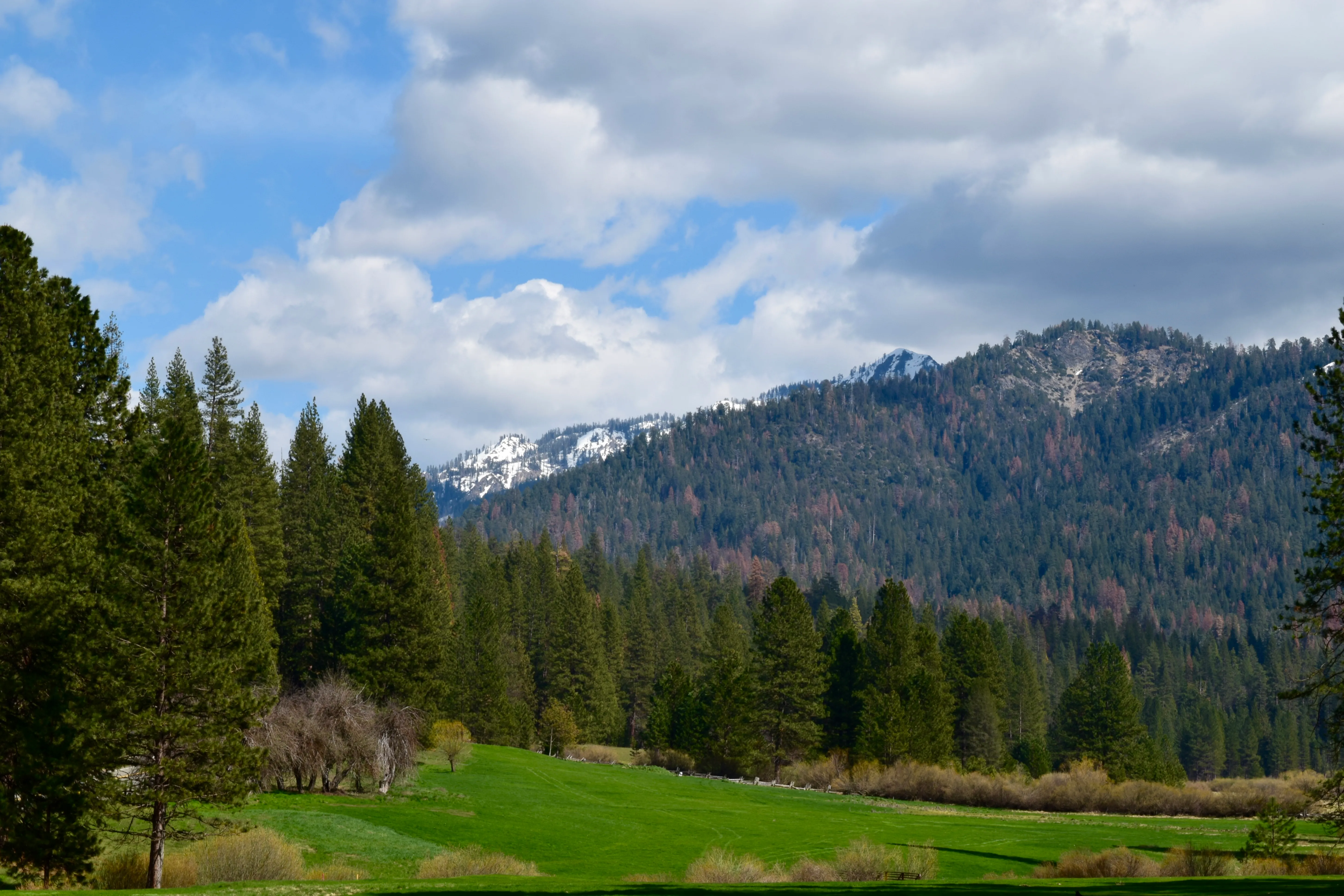 Camp at Wawona in Yosemite National Park