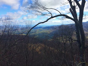 Hike the Harkening Hill Loop