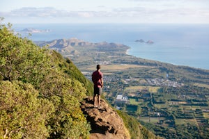 10 Thoughts You’ll Have Hiking Oahu’s Kuli`ou`ou Ridge Trail