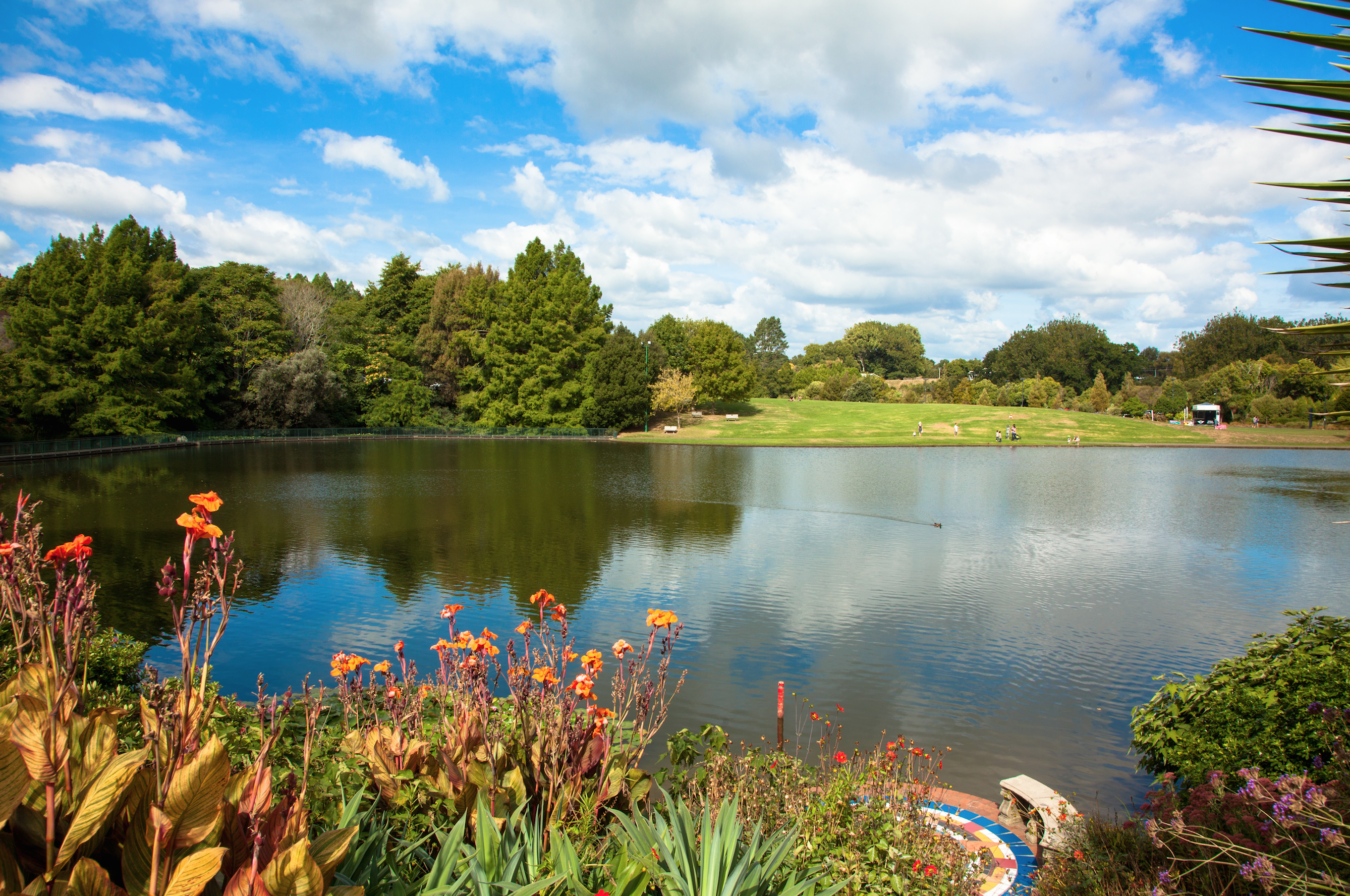 Explore the Hamilton Botanical Gardens 