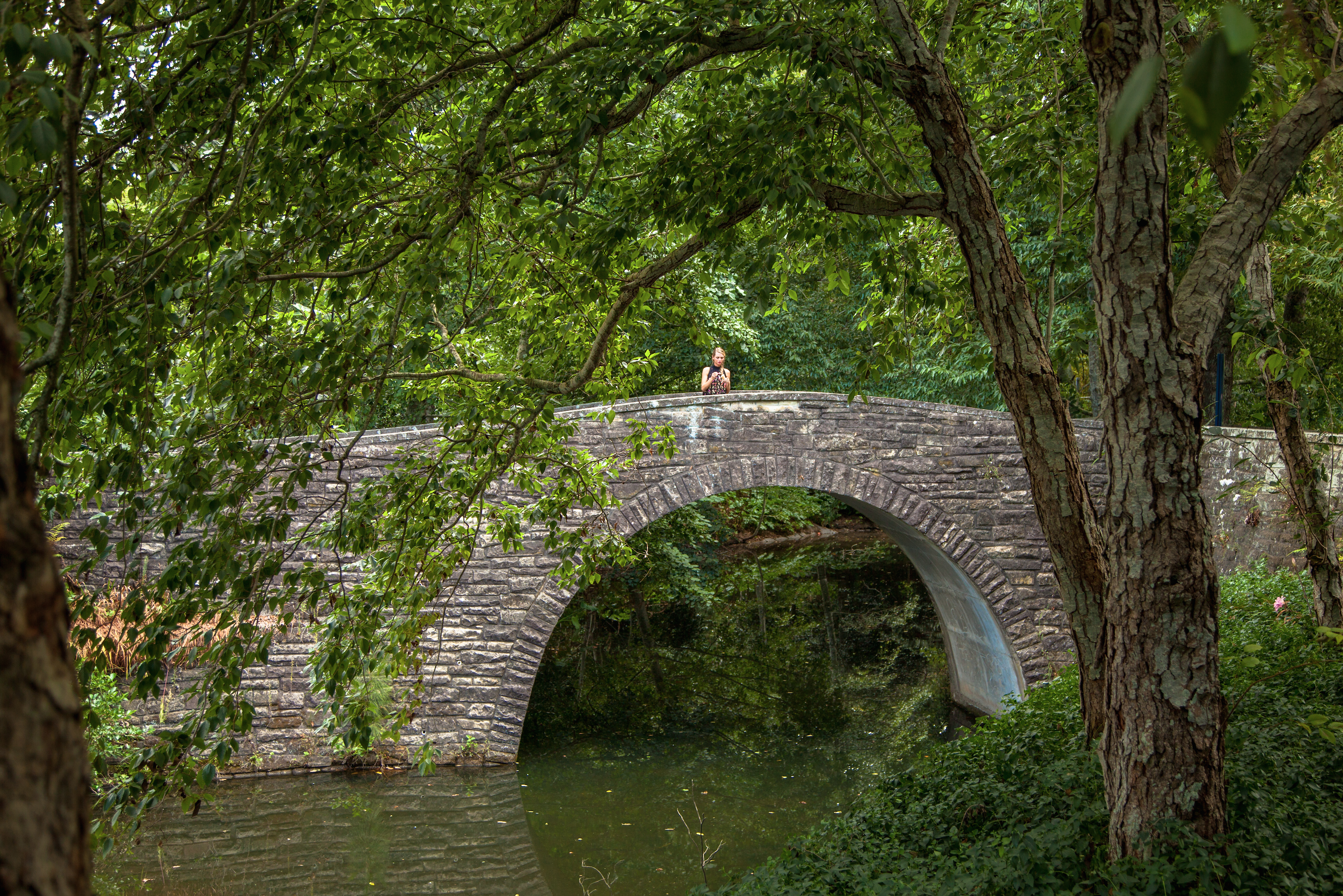 Explore the Hamilton Botanical Gardens 