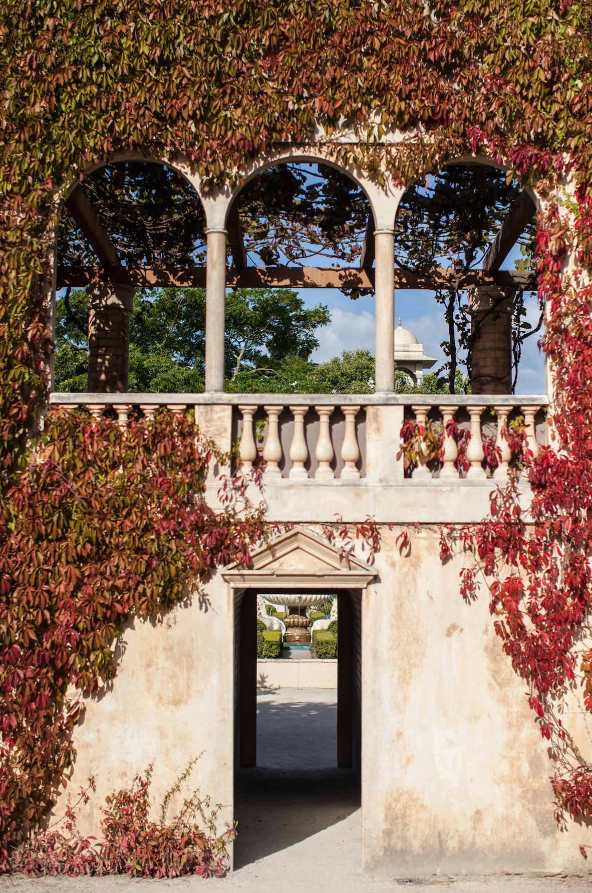 Explore the Hamilton Botanical Gardens 