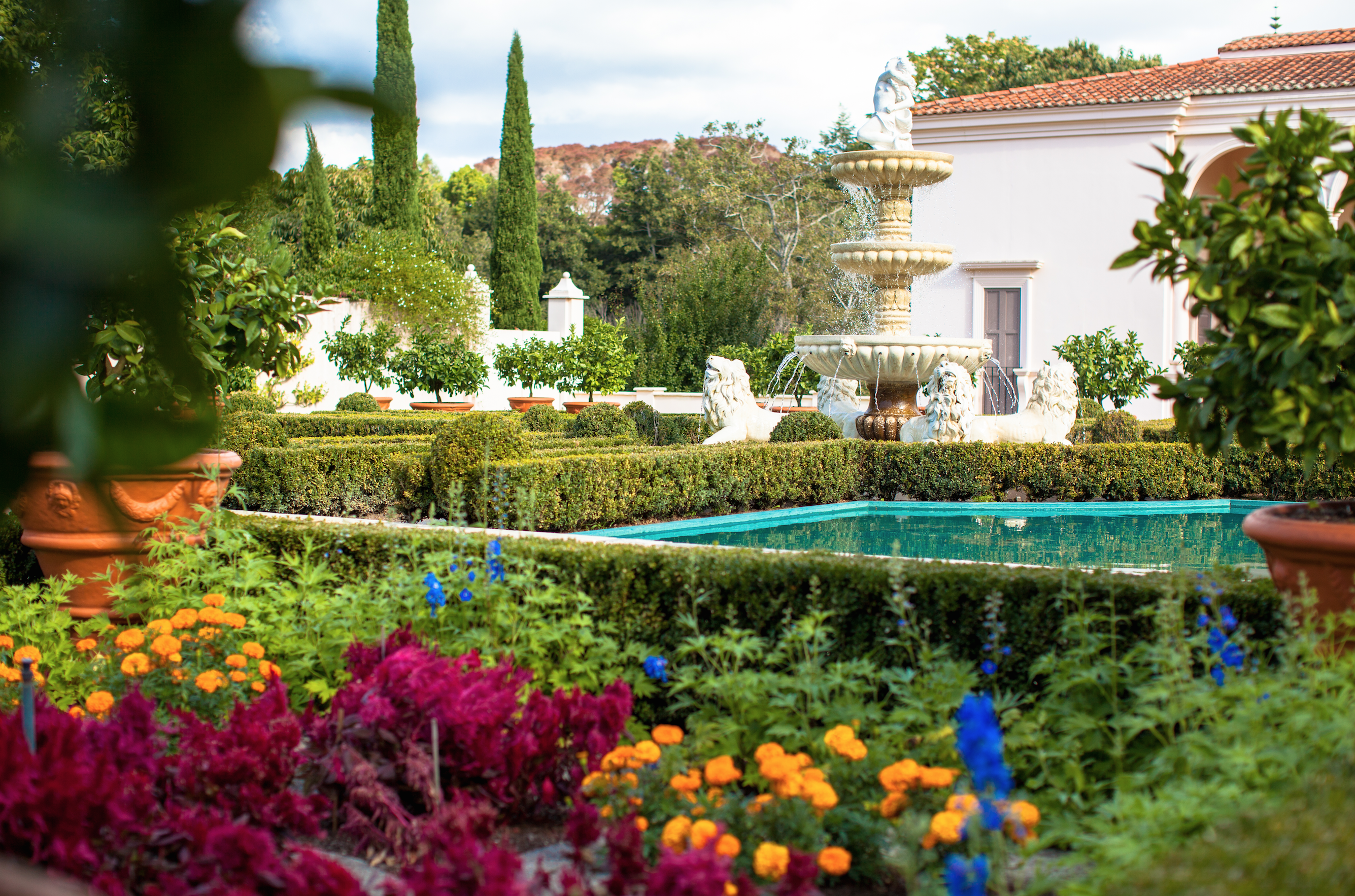 Explore the Hamilton Botanical Gardens 