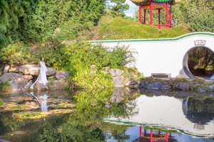 Explore the Hamilton Botanical Gardens 